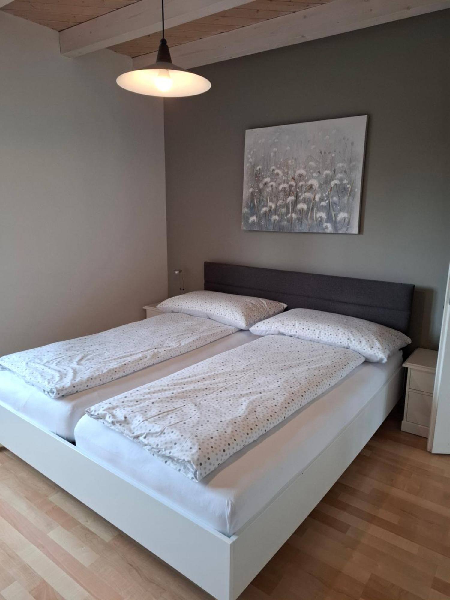 Zwinglis Ferienwohnung Nesslau エクステリア 写真